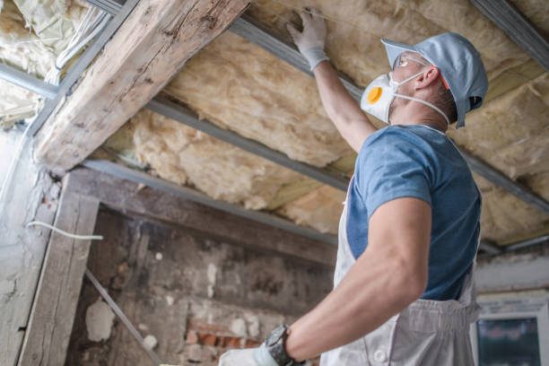 Best Insulation Installation Services in Clarence Center, NY